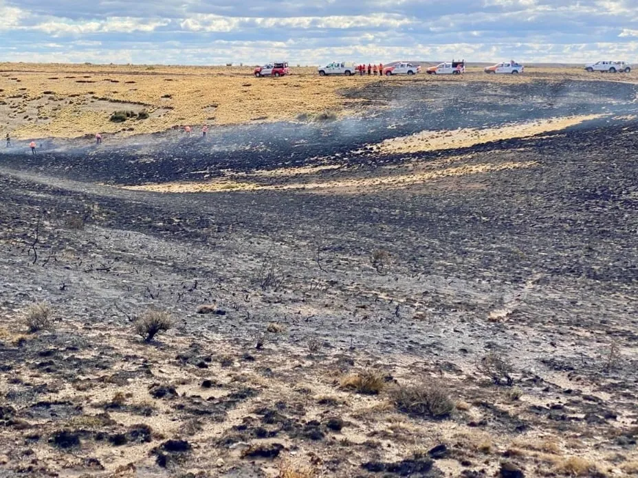 616330925_1293663402793813_953466838914547504_n