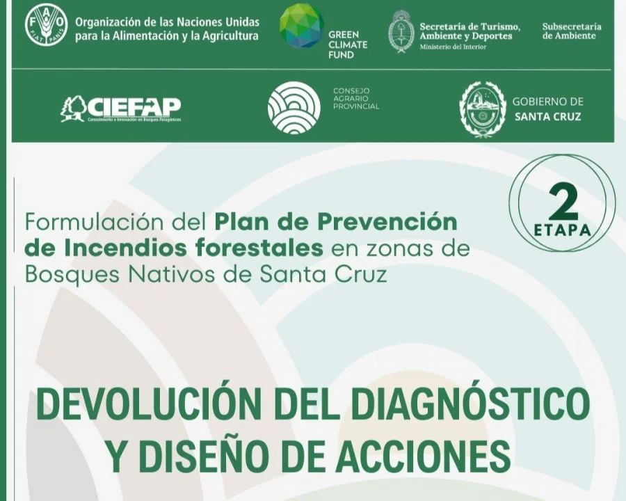 364b704f775ba3e34b994f7d690aa094_XL