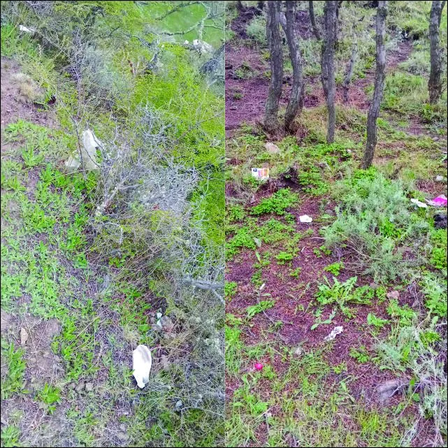 571315064_1258592526303448_8661958907336454241_n