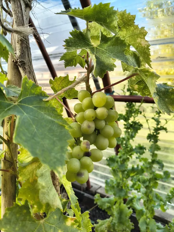 667397268_1389315063238489_4721111158230219544_n