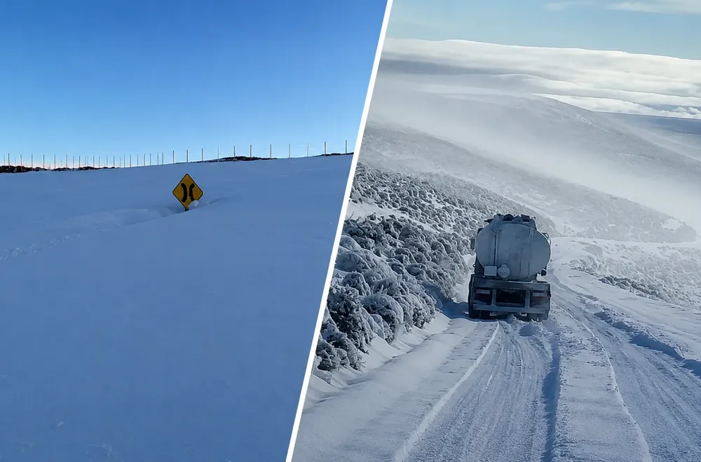 nieve