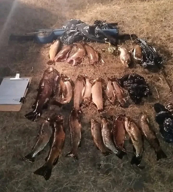 WhatsApp_Image_2026-03-02_at_3.58.50_AM