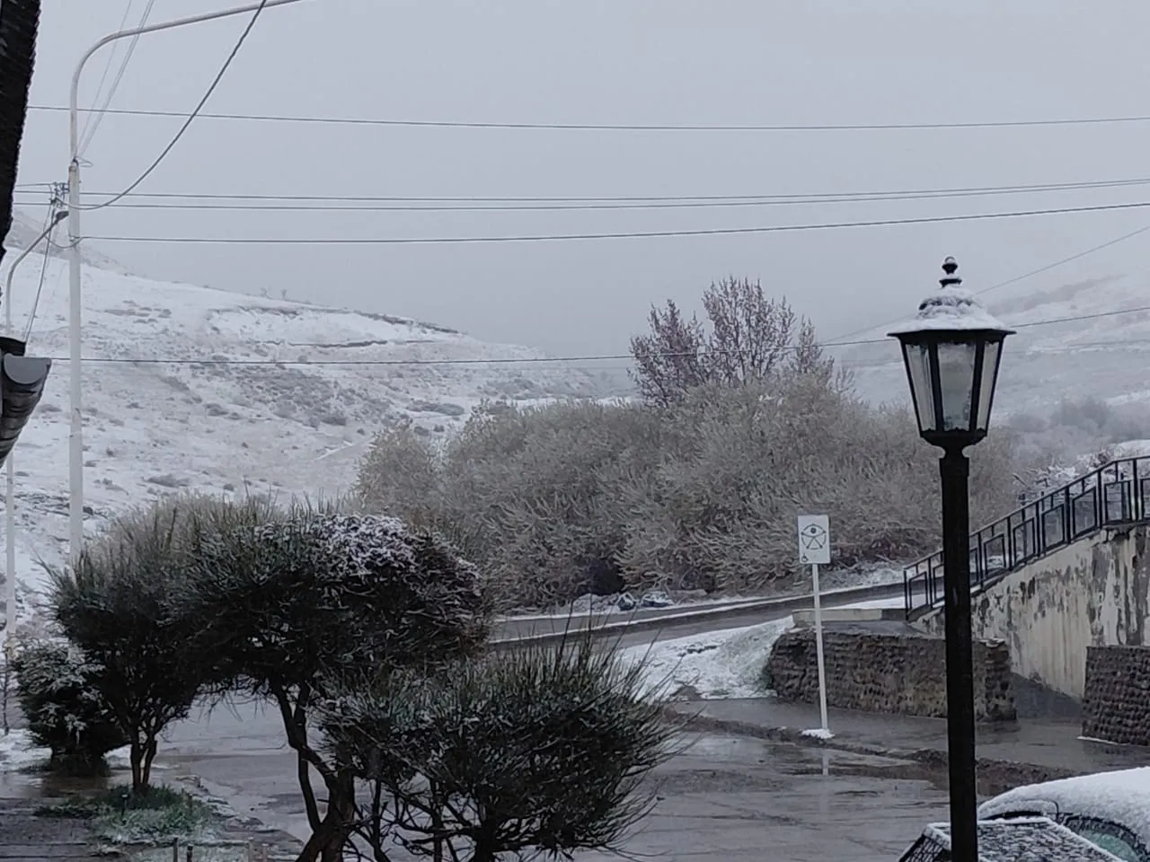 Imagen de WhatsApp 2025-09-29 a las 20.01.31_c9a7b626