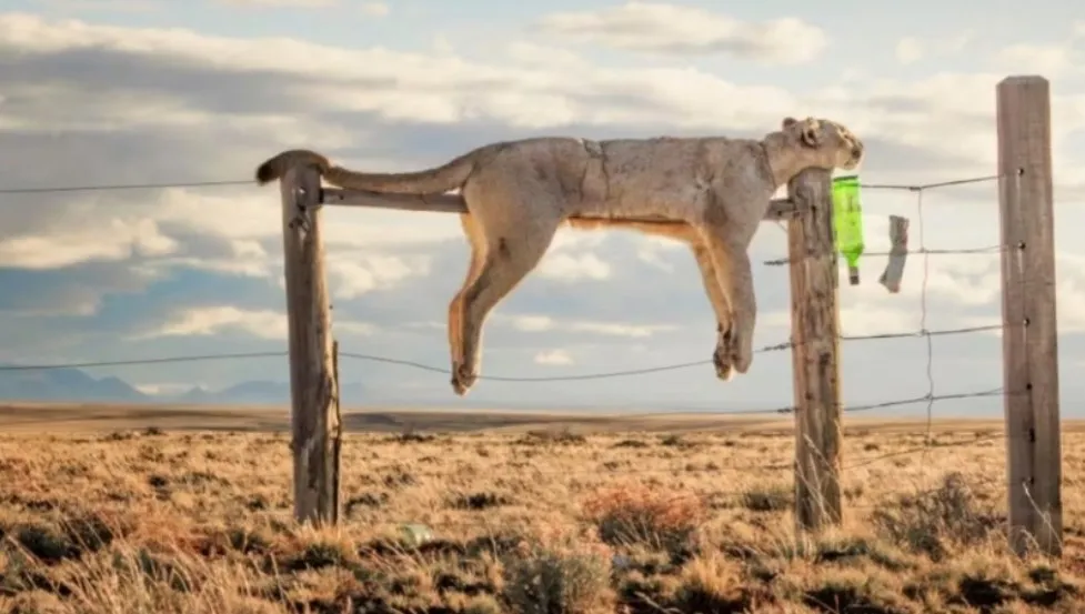 Captura de pantalla 2025-12-15 104110