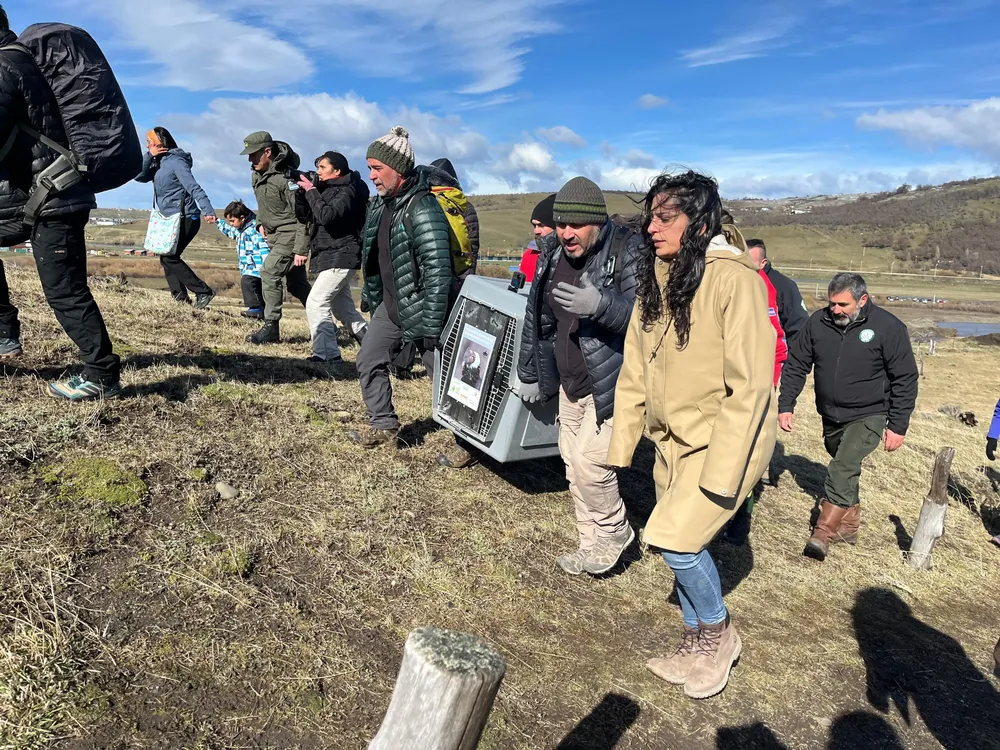 Imagen de WhatsApp 2025-10-09 a las 13.07.06_29b5fe69