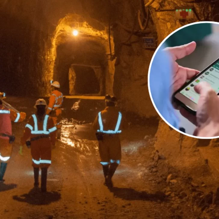 Captura-de-pantalla-2026-01-16-134934-728x728