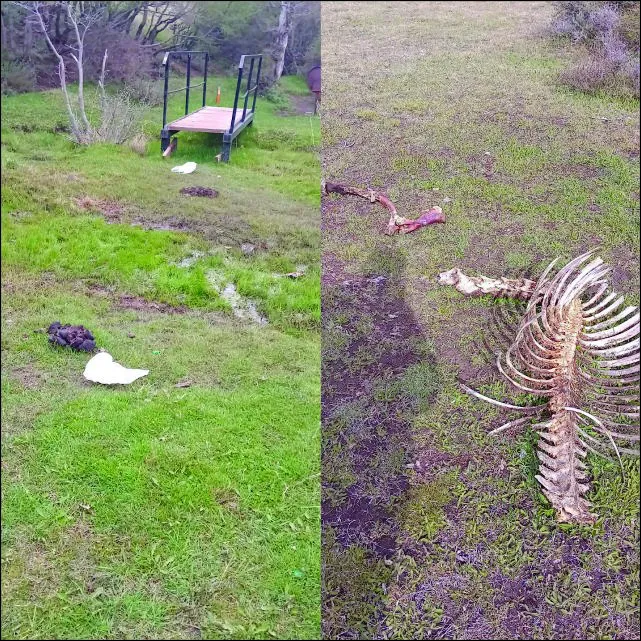 571331698_1258592646303436_5714180299716533316_n