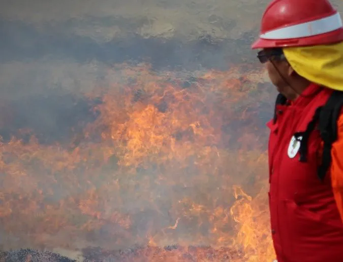 611161096_1190377083217736_5942340428552616858_n