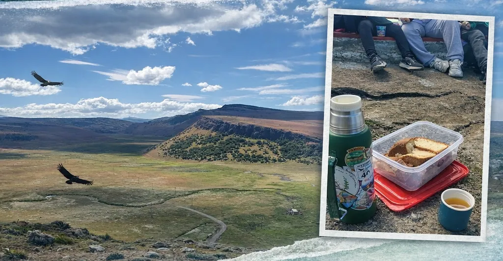 ChatGPT Image 27 ene 2026, 22_23_38