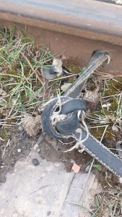 558925697_1306810311486651_7673386335873838793_n