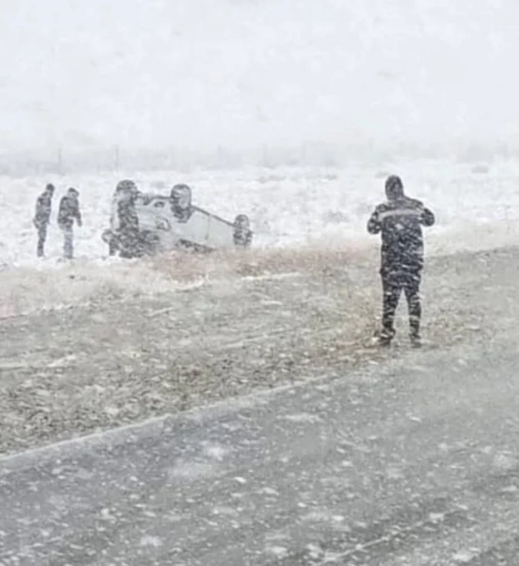 9835a4a9-6732-4a83-9598-33221febbb19