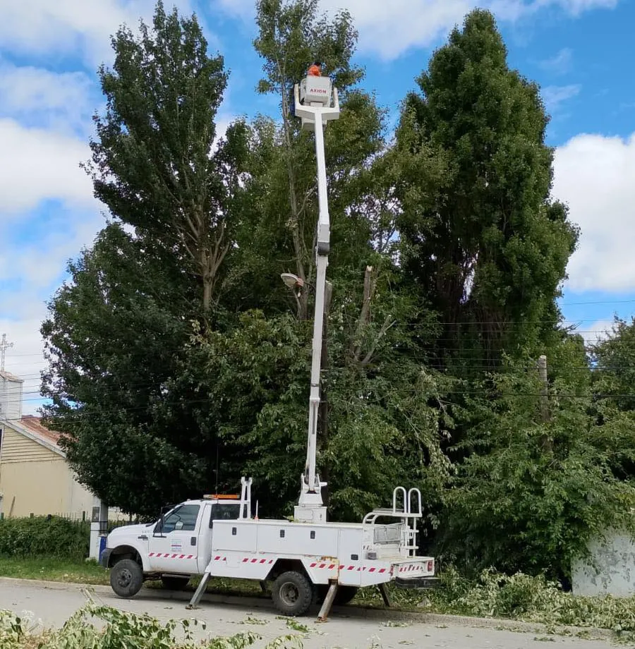 627647920_122484556016029816_6834348400211862531_n