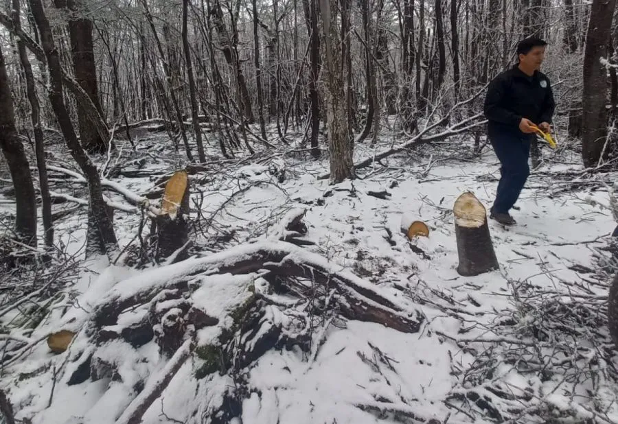 7dd062d44586f73e0eee9f0efa301217_XL