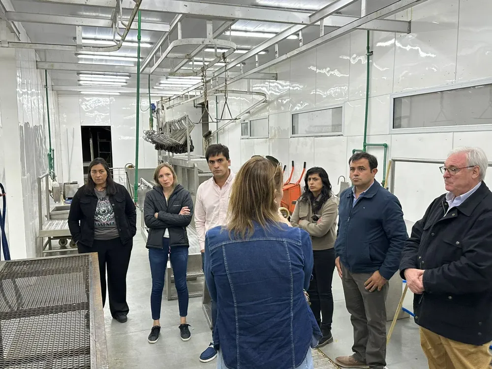 658026747_122293963694218828_6889072397693126400_n