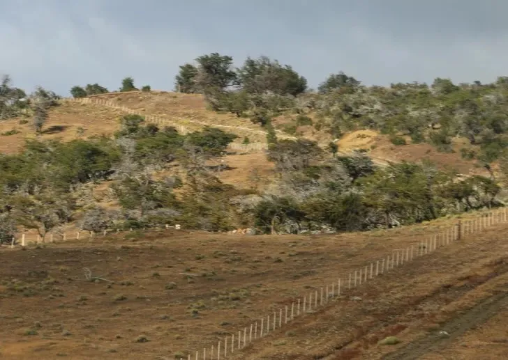 624394cd-f532-4f4d-9b11-eddd86e357d7