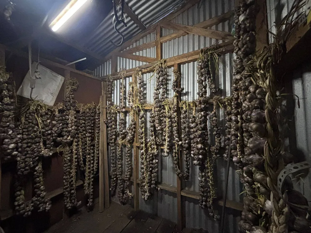 643516718_1355549106615085_7464573365347251388_n