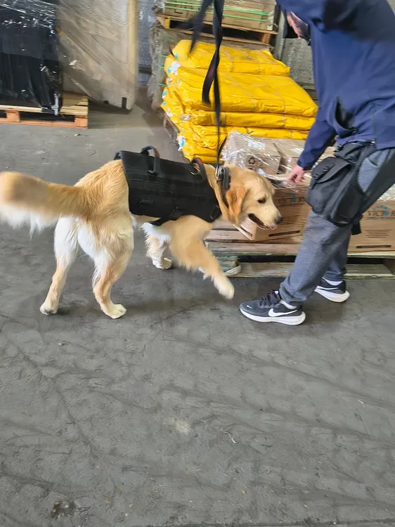 WhatsApp Image 2026-03-28 at 21.13.07