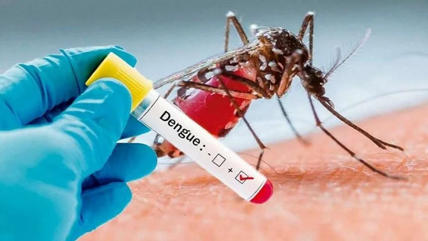 dengue01
