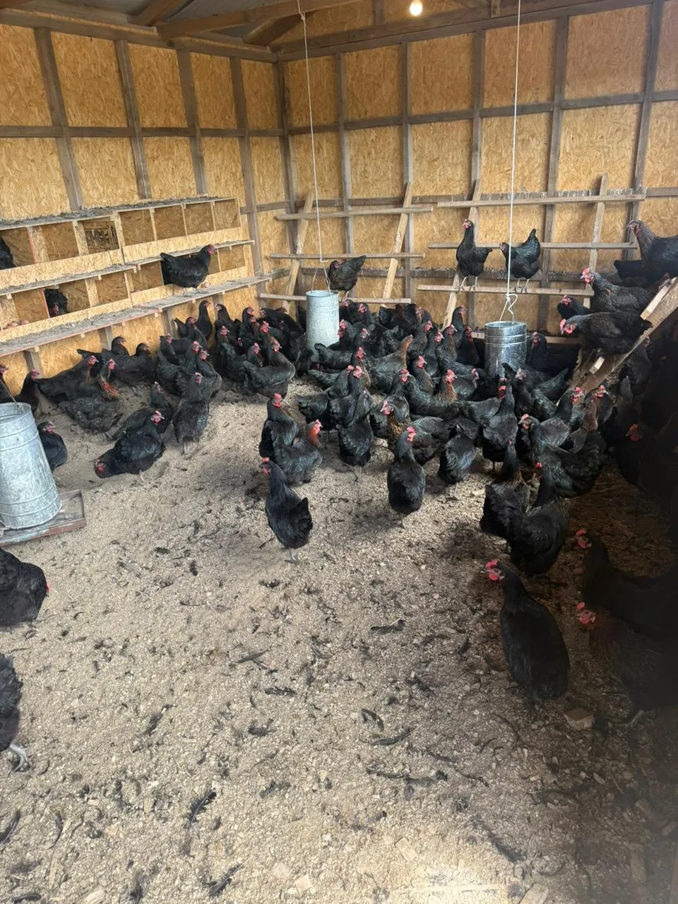 WhatsApp_Image_2025-12-09_at_14.12.04