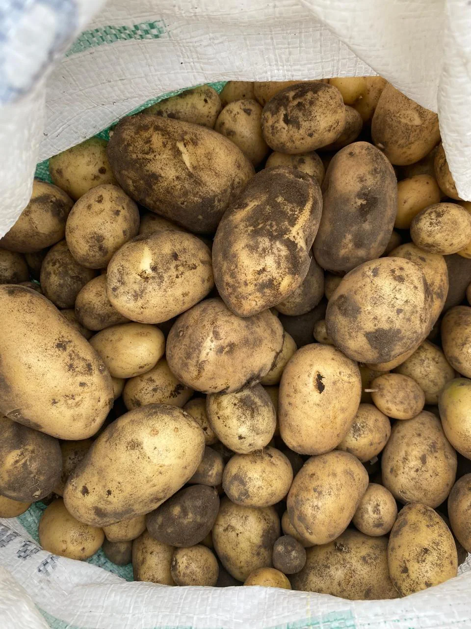 646325172_1361320952704567_2184526050681603140_n