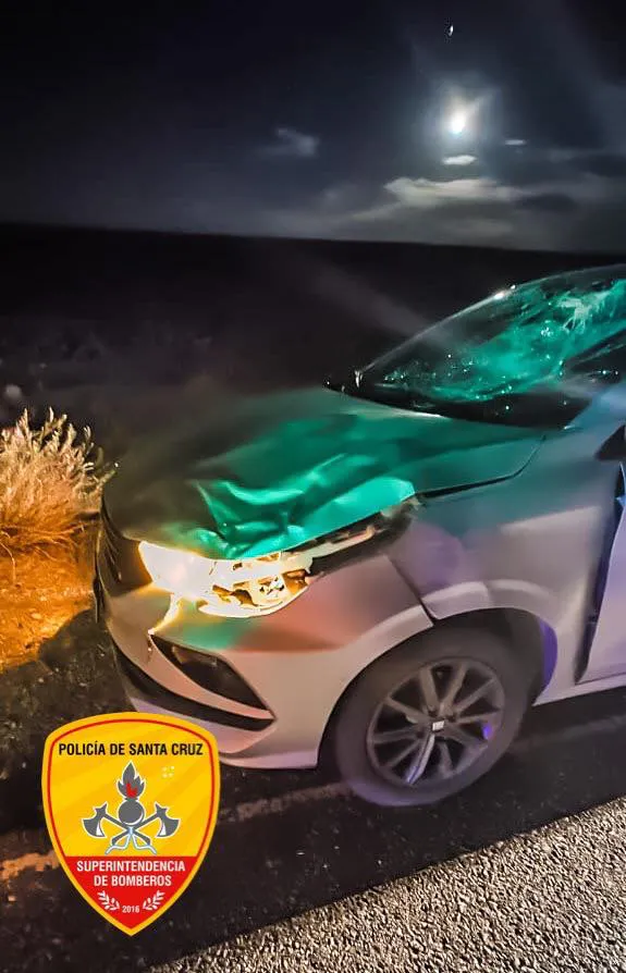 612094852_888031410422558_6337273545344311182_n