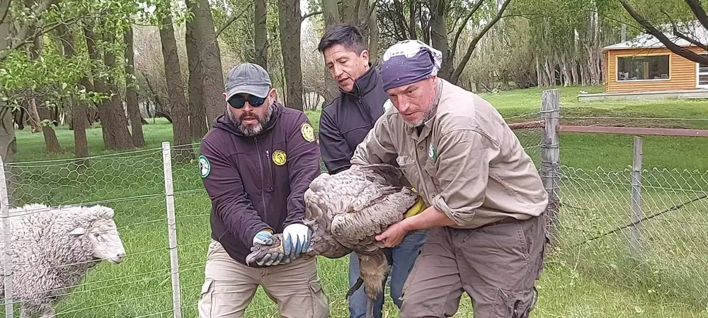 583862862_1269230718567890_5576402798009174699_n