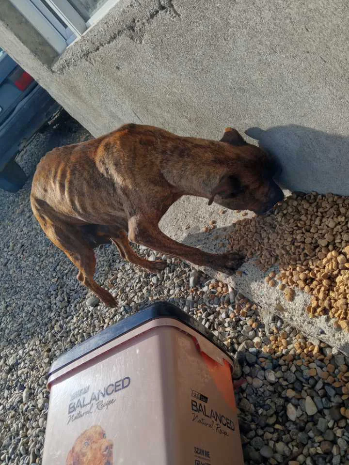 642436174_1475085237500896_2999983024353913687_n