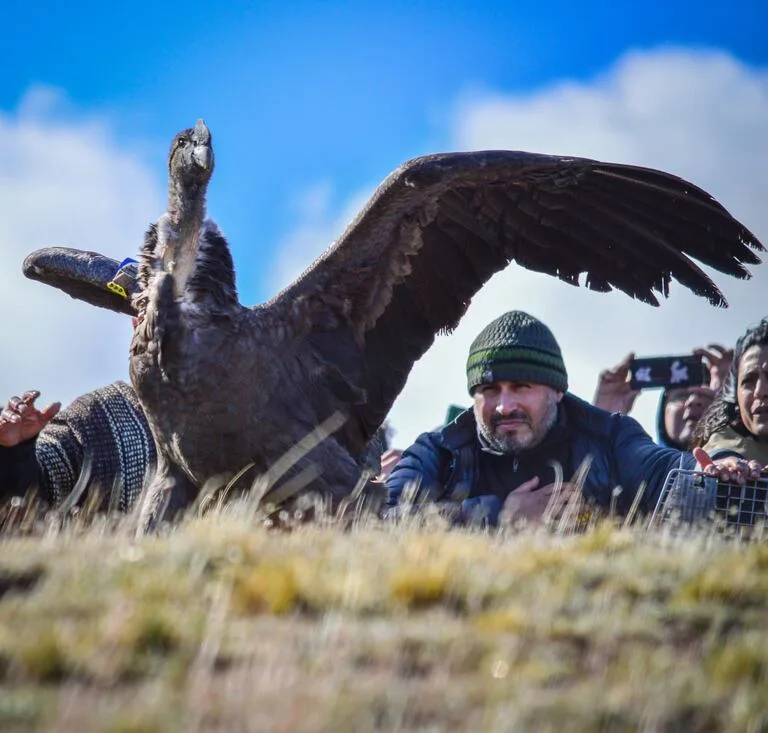 f2c653f8c5bb8d52529951c095394cd4