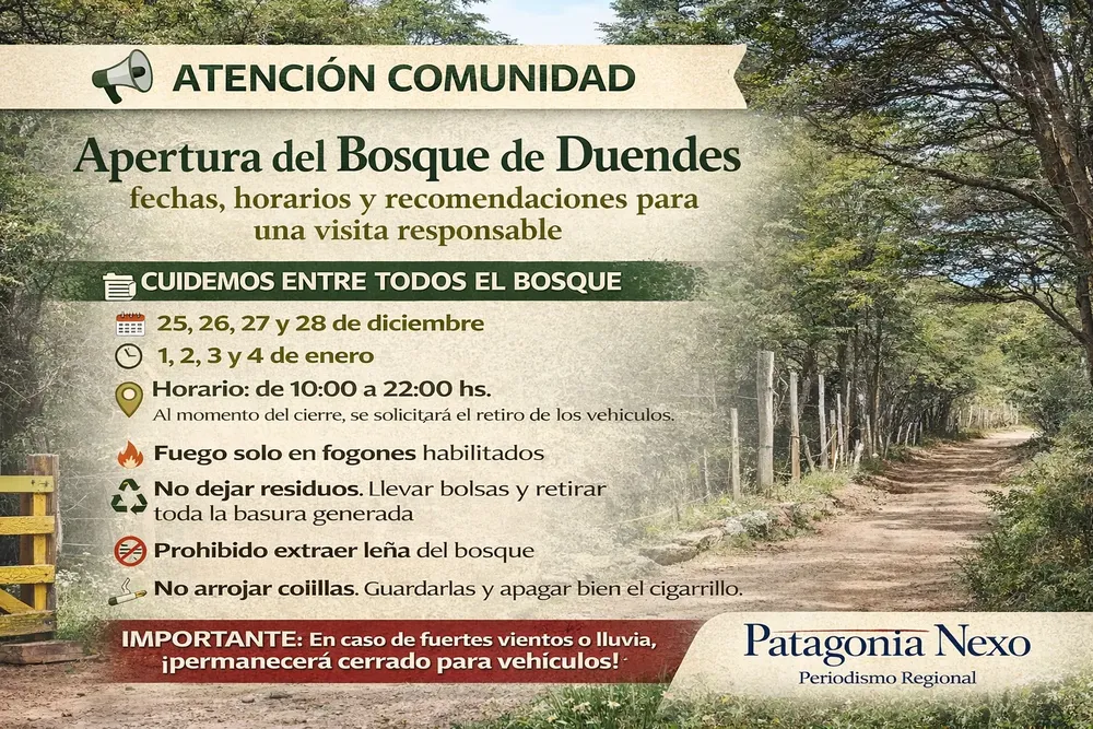 ChatGPT Image 22 dic 2025, 22_14_22