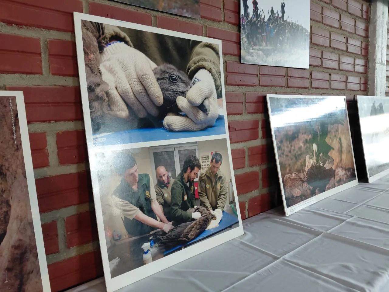 Imagen de WhatsApp 2025-11-12 a las 17.59.34_0c0e9cde