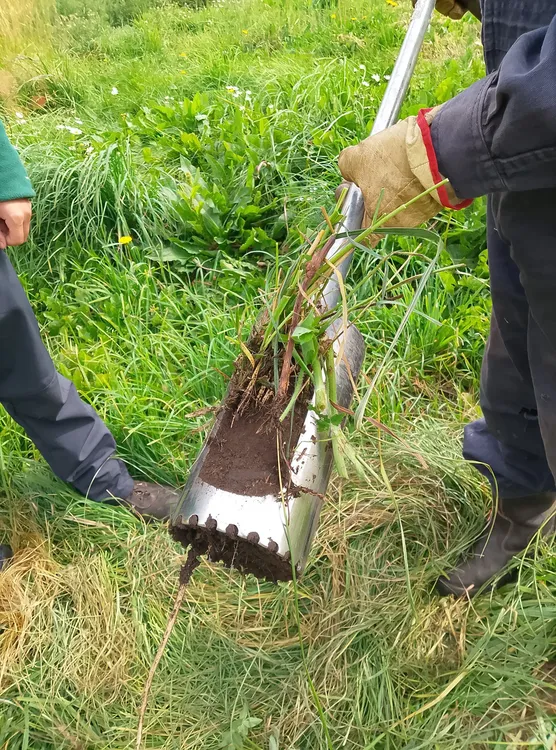 654796170_1372293081607354_6914652505412165953_n