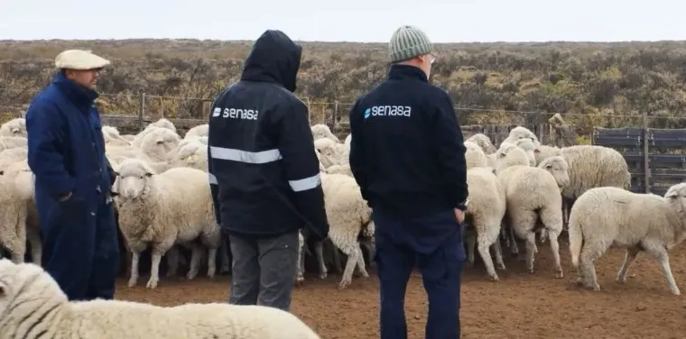 Captura de pantalla 2025-12-11 110814