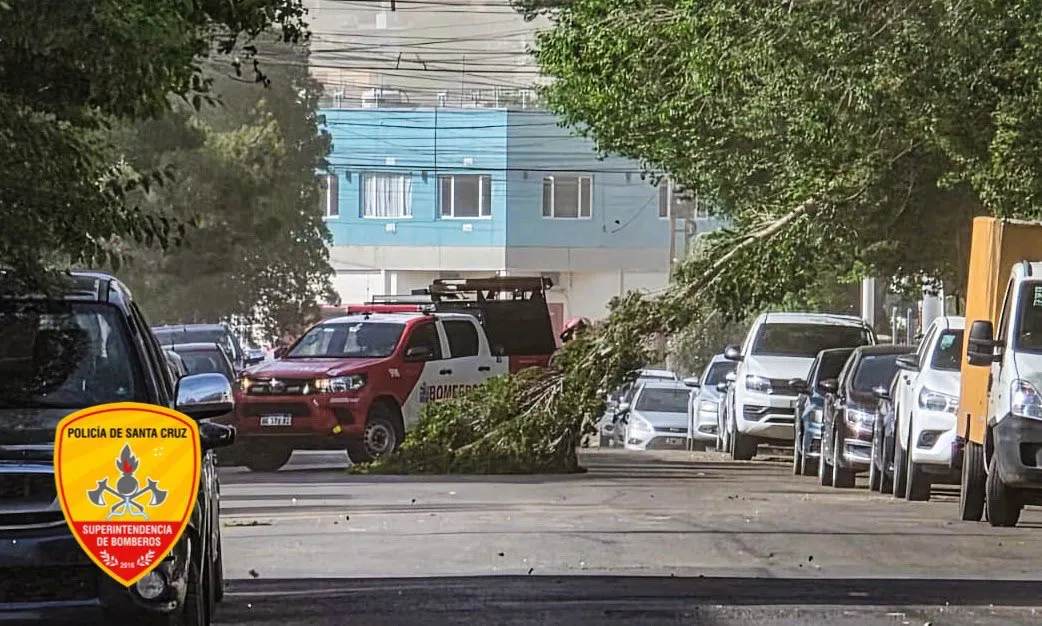 584073443_852982460594120_2971723990908962787_n