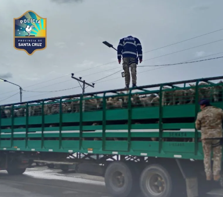 Captura de pantalla 2026-03-23 213430