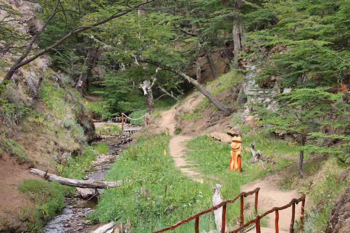 bosque-duendes-rio-turbio-opt