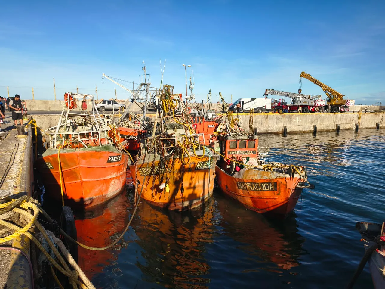 WhatsApp_Image_2025-12-09_at_8.12.32_AM