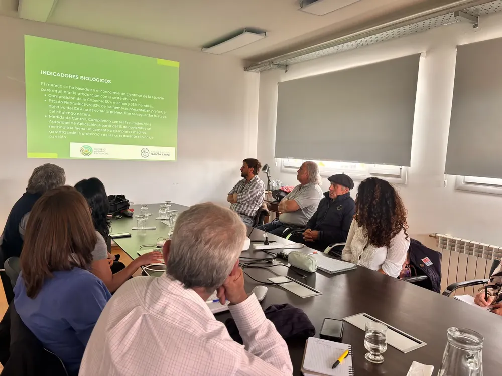 WhatsApp_Image_2025-12-29_at_5.05.16_PM_2