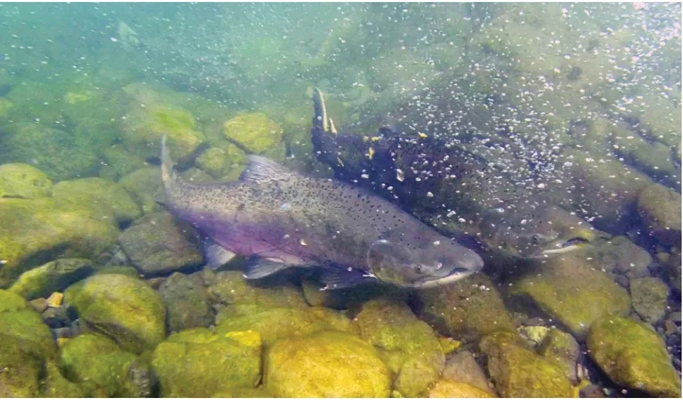 Captura de pantalla_25-11-2025_10011_