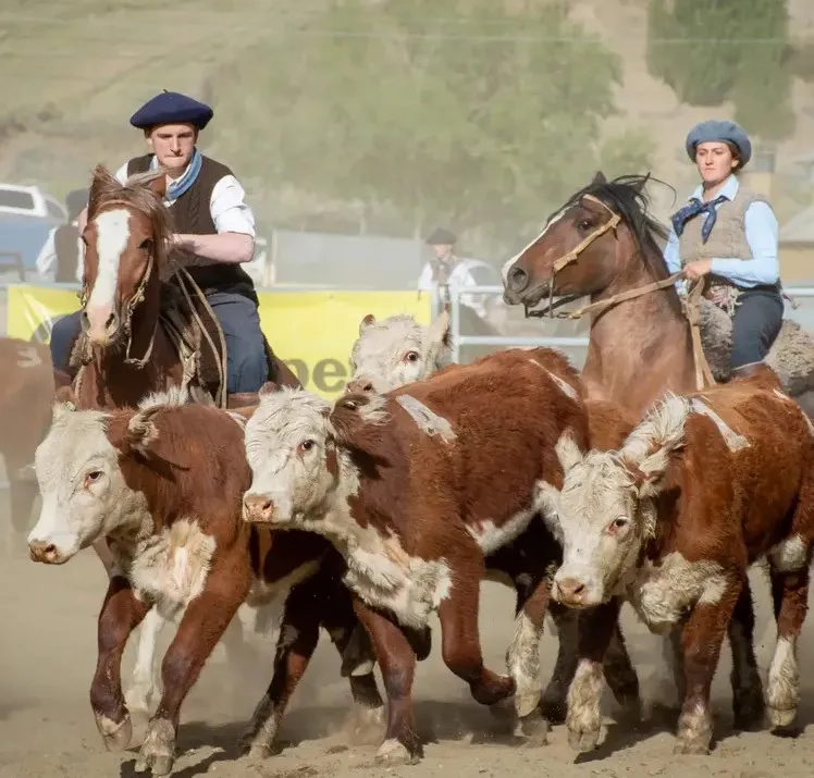 Captura de pantalla 2025-11-26 132753