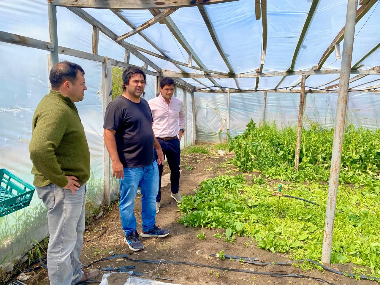 WhatsApp_Image_2025-12-09_at_14.52.51