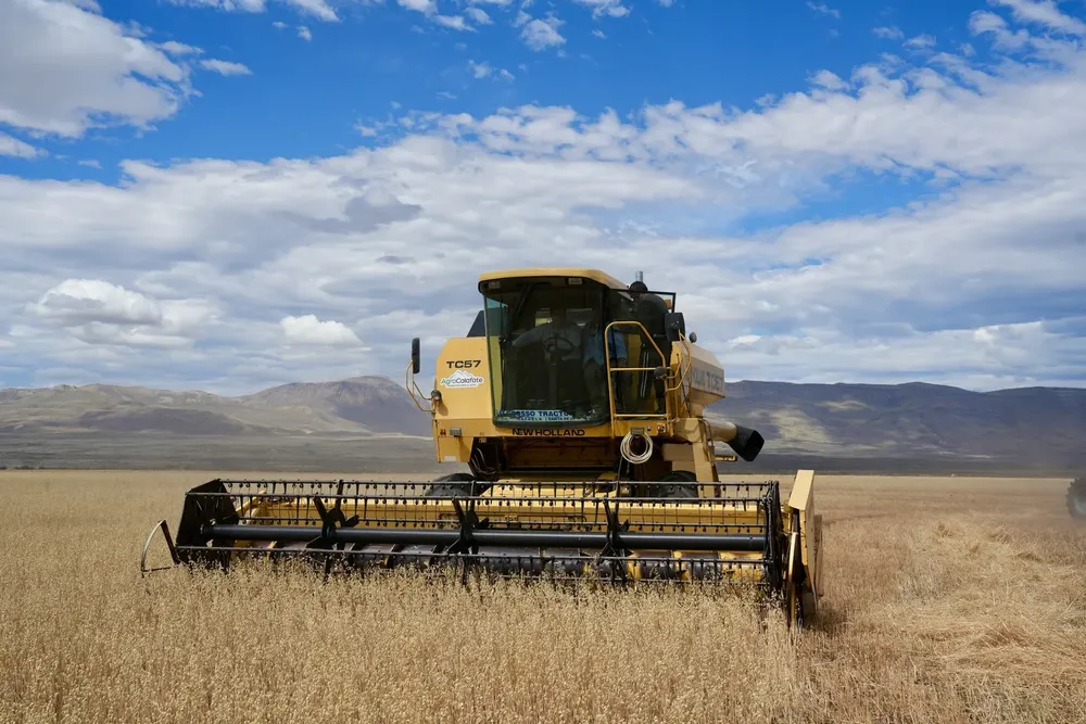 624231344_18306209317281632_2950072622750961482_n