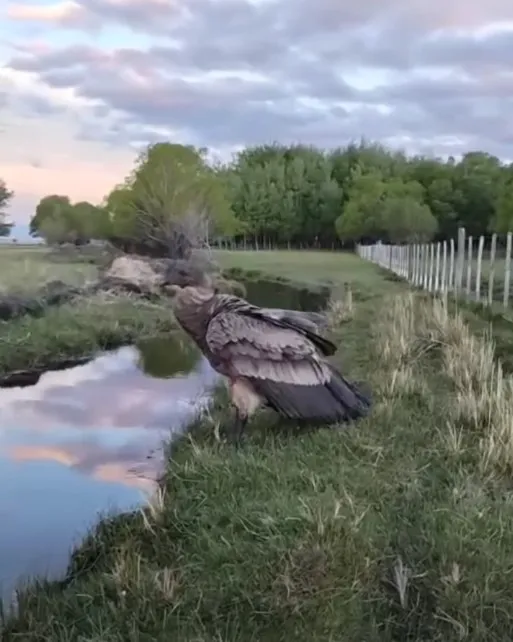 Captura de pantalla 2025-11-20 142607