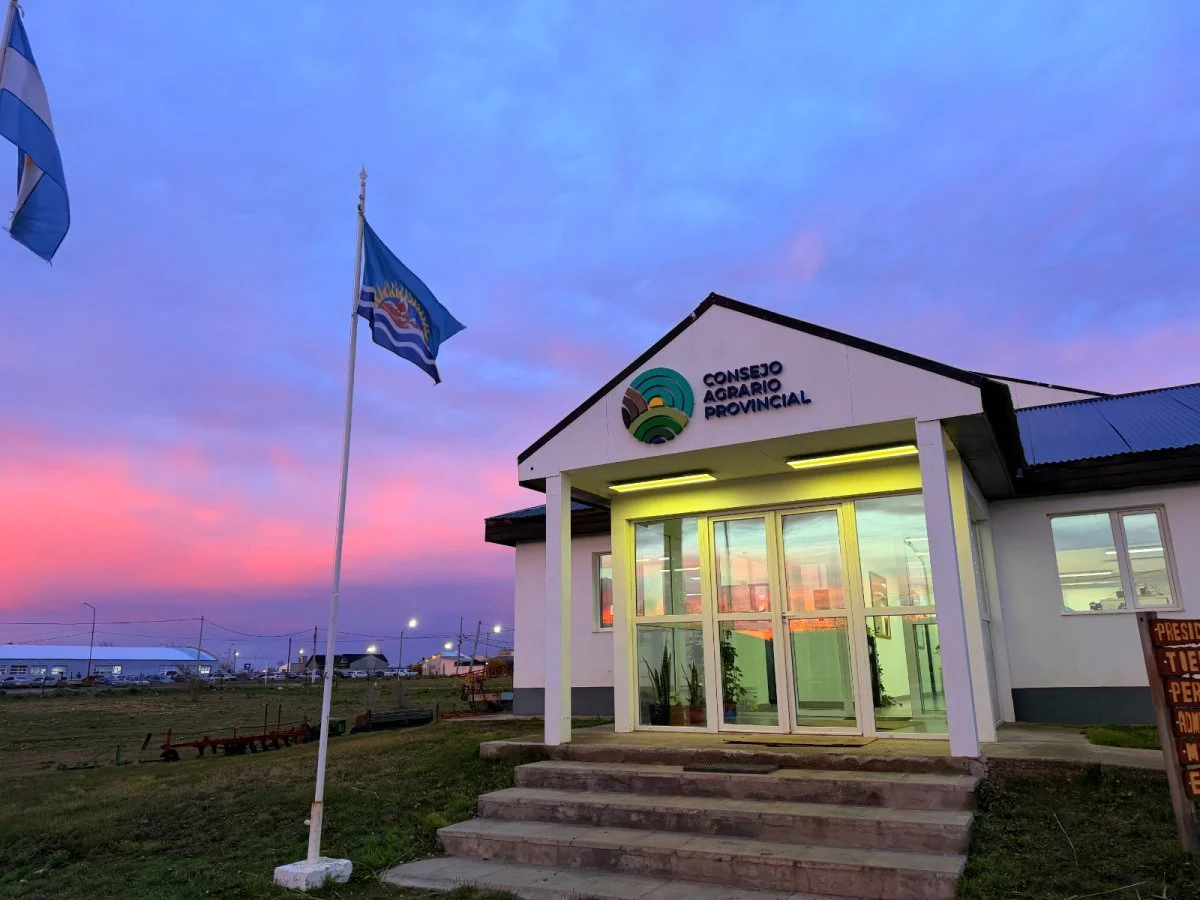 portada26399
