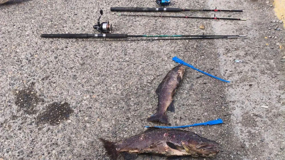 552219475_1246033934223460_2895865281786978337_n