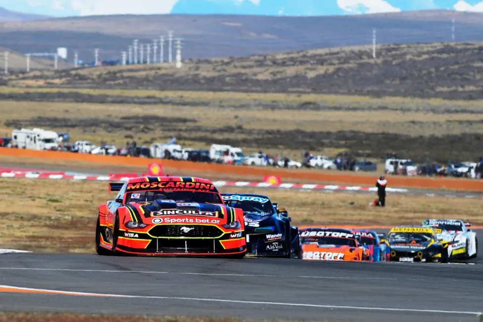 Moscardini-TC-2026-1