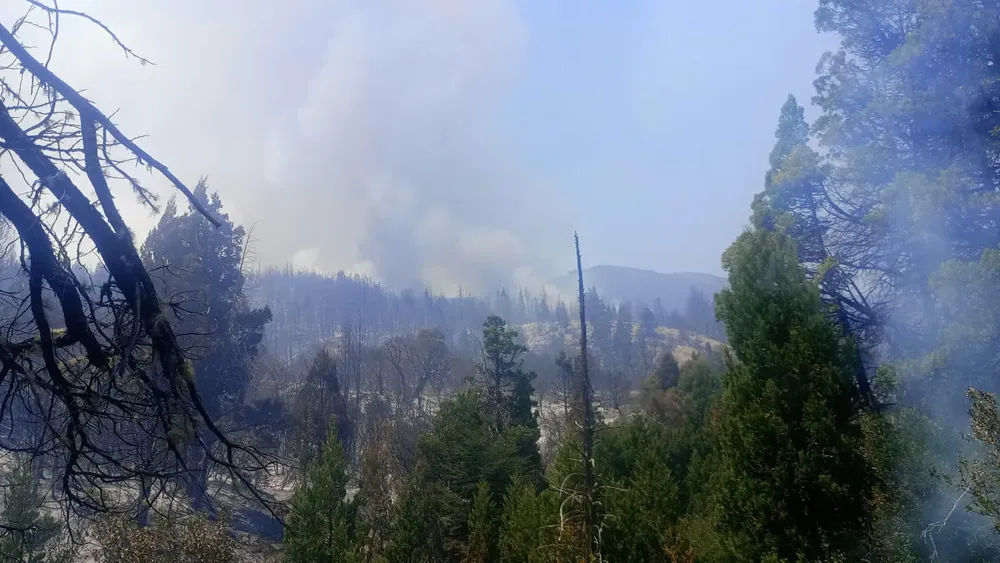 WhatsApp_Image_2026-01-26_at_12.45.50_PM