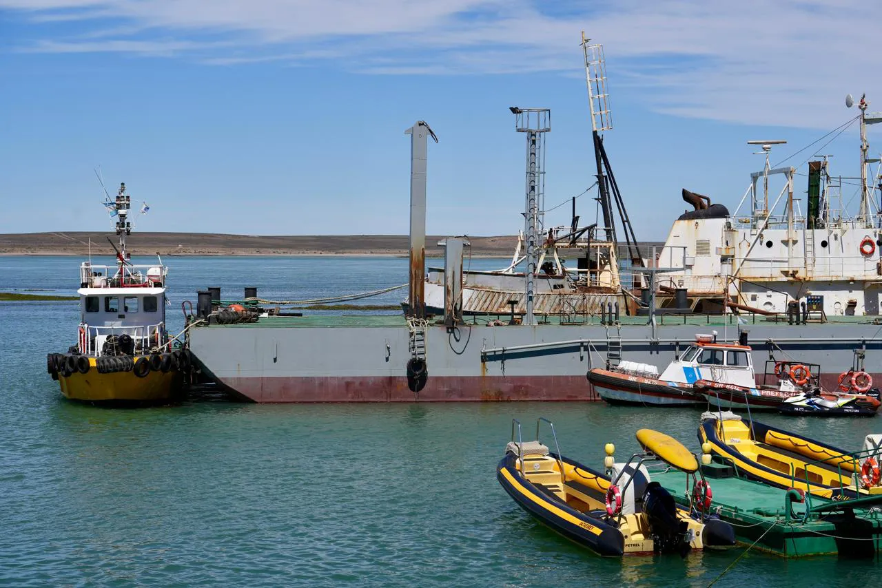 WhatsApp_Image_2026-01-08_at_12.50.26_PM