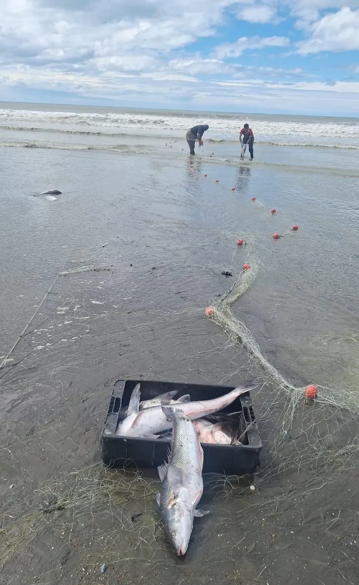 WhatsApp_Image_2026-01-21_at_6.10.52_PM_1