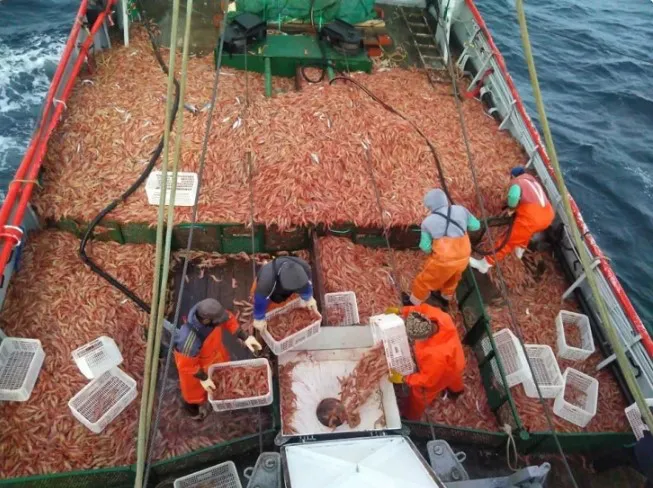 Captura de pantalla 2026-01-22 154835