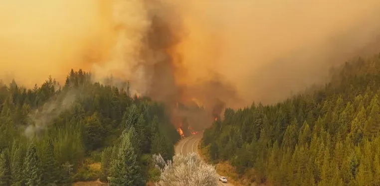 Captura de pantalla 2026-01-10 224034